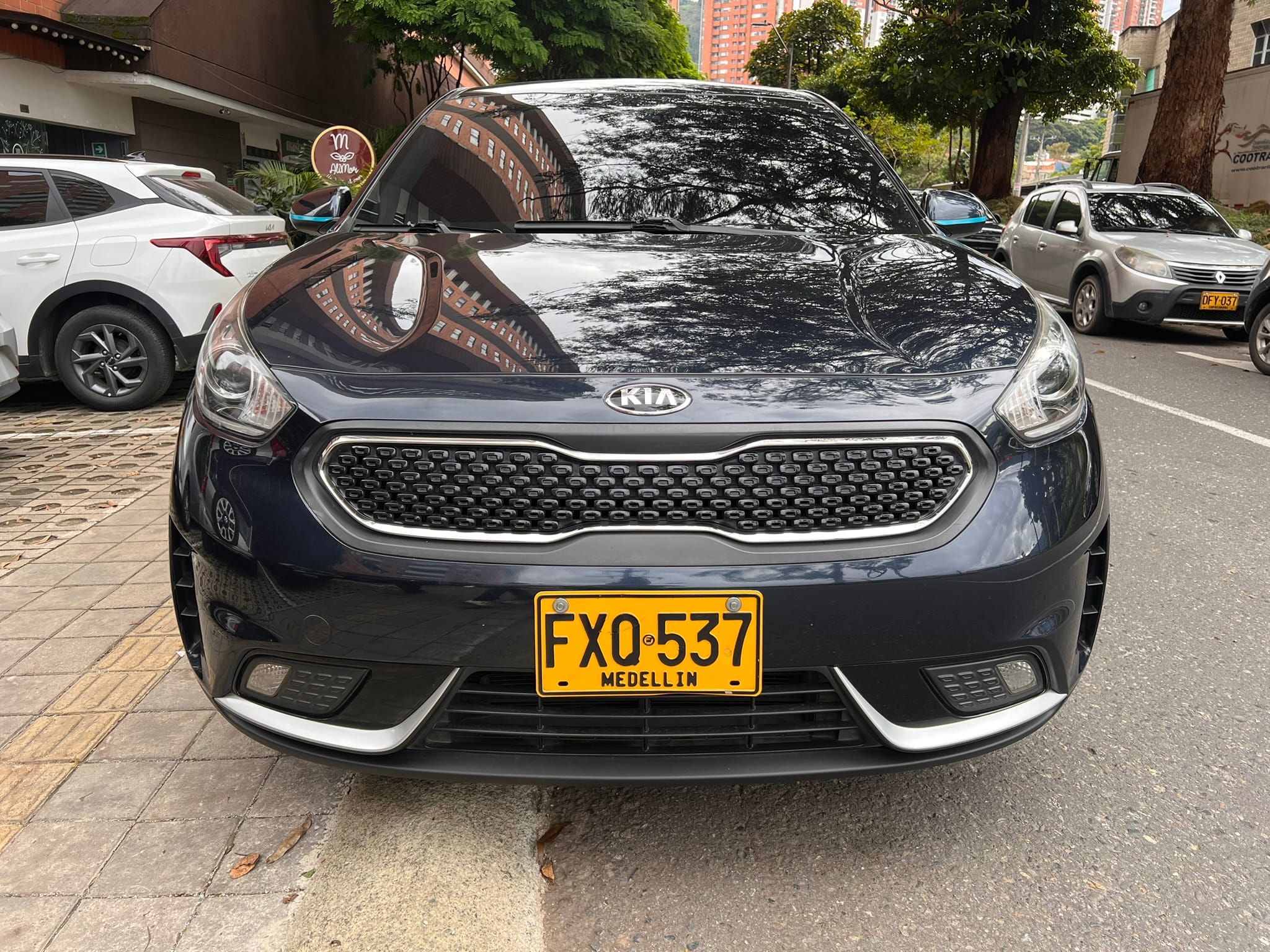 Kia Niro Emotion Hibrido Cc1600 2019
